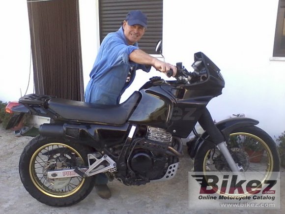 1989 Honda NX 650 Dominator photo